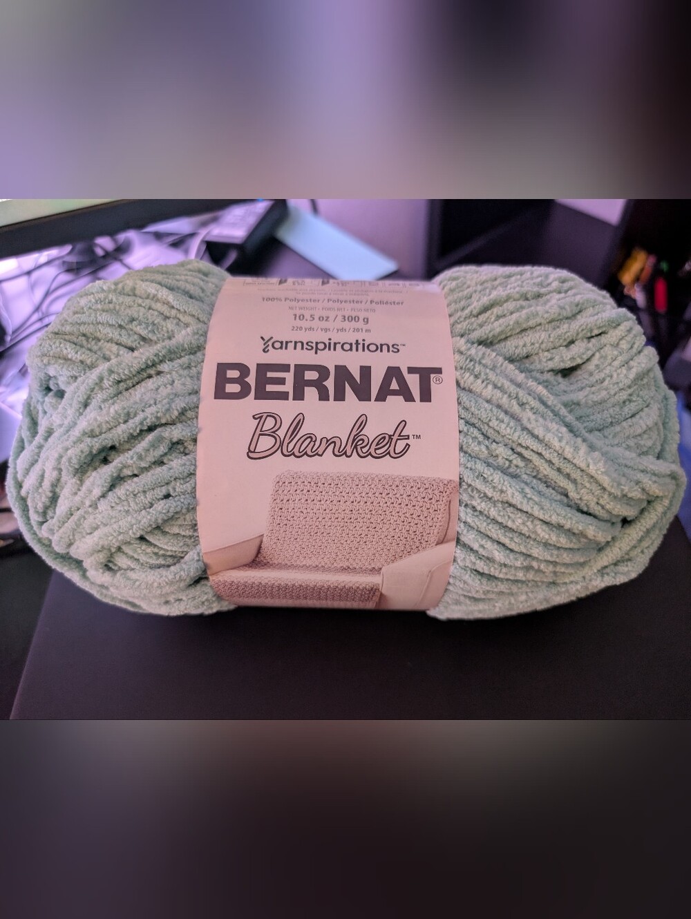 Yarnspirations Bernat Blanket Yarn-Bright Sage 10.5 oz 300g NEW